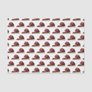 Papier Mousseline Illustration de jambon