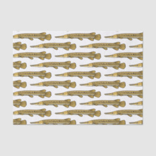 Papier Mousseline Illustration de l'alligator garfish