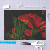 Papier Mousseline Illustration de l'Hibiscus à fort contraste (Artisanat)