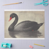 Papier Mousseline Illustration de l'oiseau de décolpage du cygne noi (Artisanat)