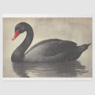 Papier Mousseline Illustration de l'oiseau de décolpage du cygne noi