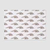 Papier Mousseline Illustration de Pangolin (Recto)