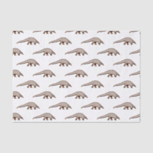 Papier Mousseline Illustration de Pangolin