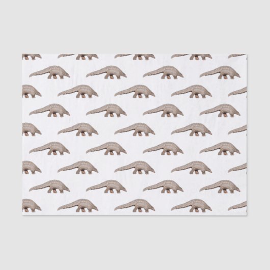 Papier Mousseline Illustration de Pangolin (Recto)