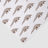 Papier Mousseline Illustration de Pangolin (Détail)