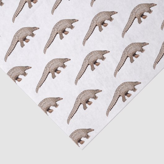 Papier Mousseline Illustration de Pangolin (Détail)
