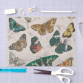 Papier Mousseline Illustration de papillon antique : 1820 Orfèvre (Artisanat)