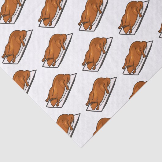 Papier Mousseline Illustration de Peking duck (Détail)