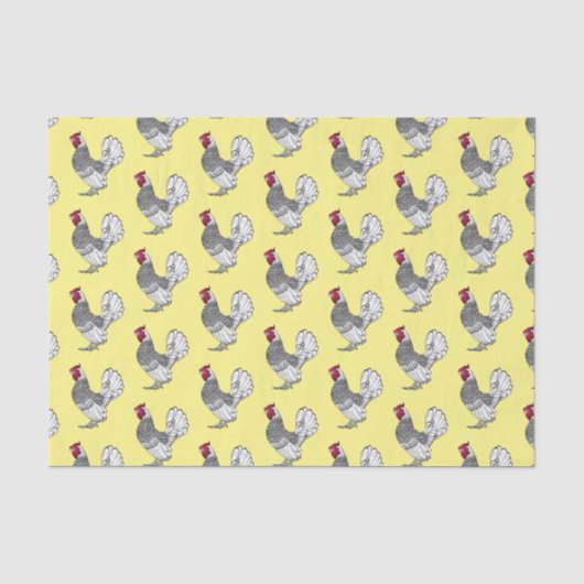 Papier Mousseline Illustration de poulet Sebright (Recto)
