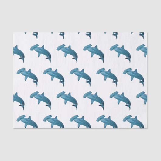 Papier Mousseline Illustration de requin marteau (Recto)