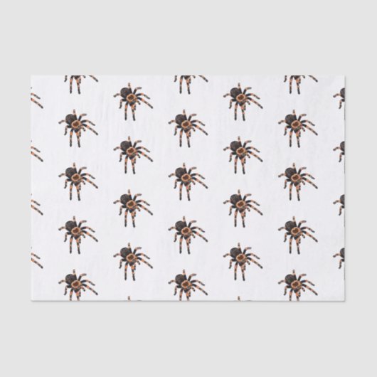 Papier Mousseline Illustration de Tarantula (Recto)