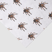 Papier Mousseline Illustration de Tarantula (Détail)