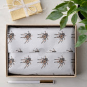 Papier Mousseline Illustration de Tarantula (Cadeau)