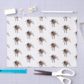 Papier Mousseline Illustration de Tarantula (Artisanat)