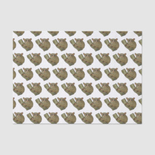 Papier Mousseline Illustration de Tarsier