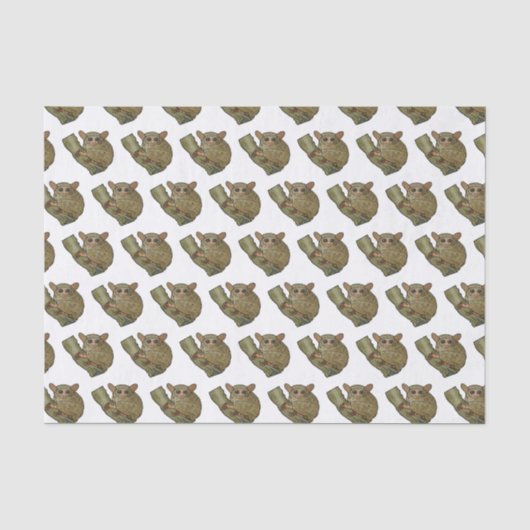 Papier Mousseline Illustration de Tarsier (Recto)