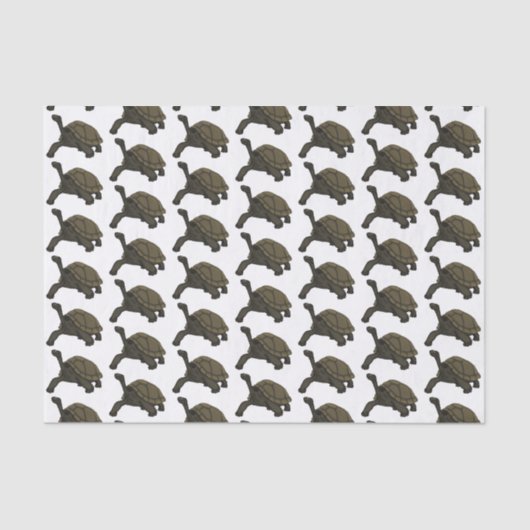Papier Mousseline Illustration de tortue terrestre des Galapagos (Recto)