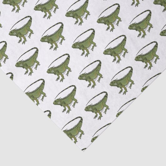 Papier Mousseline Illustration d'Iguana