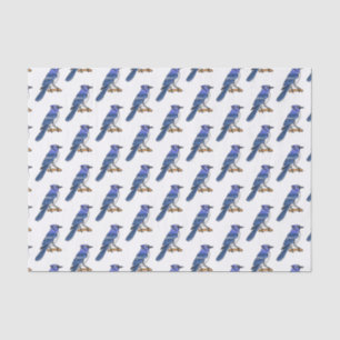 Papier Mousseline Illustration d'oiseau de jay bleu