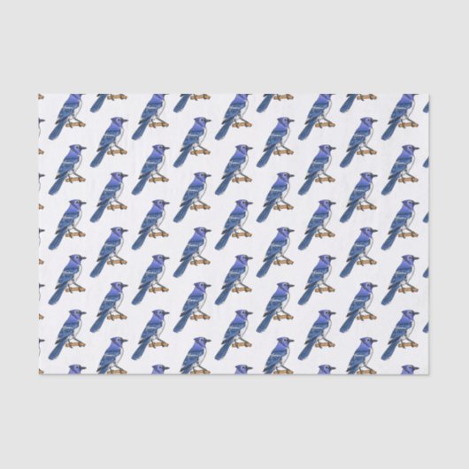 Papier Mousseline Illustration d'oiseau de jay bleu (Recto)