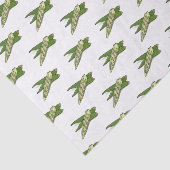 Papier Mousseline Illustration d'Okra (Détail)
