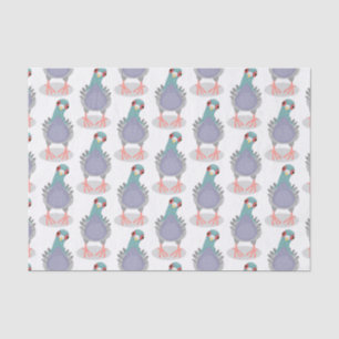 Papier Mousseline Illustration drôle de pigeon curieux