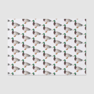 Papier Mousseline Illustration du canard de Majard