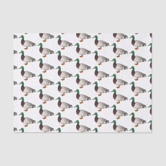 Papier Mousseline Illustration du canard de Majard (Recto)