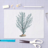 Papier Mousseline Illustration du corail marin antique (Artisanat)