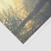 Papier Mousseline Illustration du découpage des champignons morel (Détail)