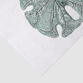 Papier Mousseline Illustration du dollar de sable antique (Détail)