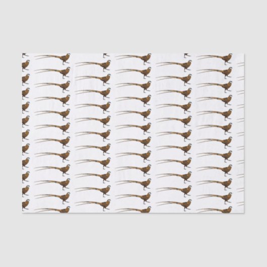 Papier Mousseline Illustration du faisan de Reeves (Recto)