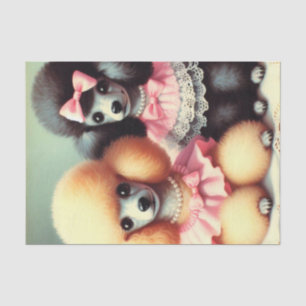 Papier Mousseline Illustration du mignon caniche