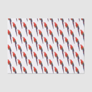 Papier Mousseline Illustration du perroquet de macaw Scarlet