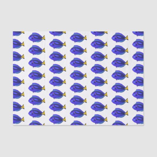Papier Mousseline Illustration du poisson de la cuve bleue (Recto)