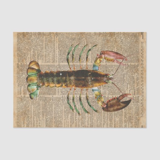 Papier Mousseline Illustration méditerranéenne de cru de vie marine (Recto)