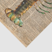 Papier Mousseline Illustration méditerranéenne de cru de vie marine (Détail)