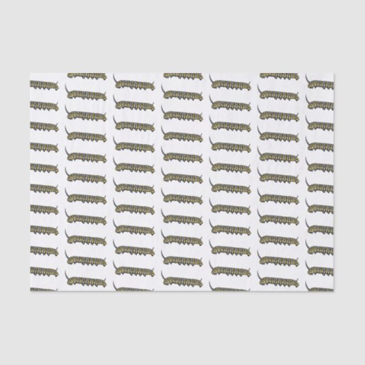 Papier Mousseline Illustration Monarch caterpillar (Recto)