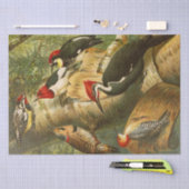 Papier Mousseline Illustration North American Bird World 1891 (Artisanat)