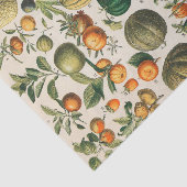 Papier Mousseline Illustration scientifique végétale des fruits (Détail)