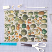 Papier Mousseline Illustration scientifique végétale des fruits (Artisanat)