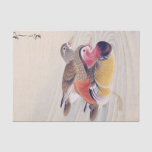 Papier Mousseline Illustration vintage : canard mandarin