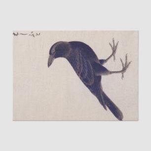 Papier Mousseline Illustration vintage : Corneille de la jungle