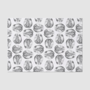 Papier Mousseline Illustrations antiques de diagramme de cerveau
