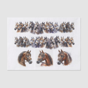 Papier Mousseline Illustrations de chevaux incluant deux longues ran