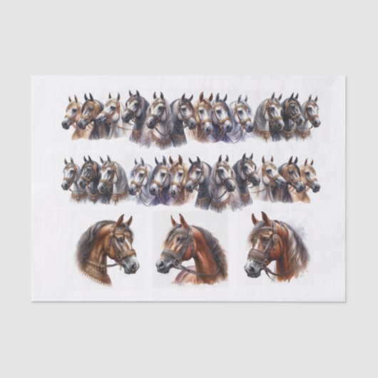 Papier Mousseline Illustrations de chevaux incluant deux longues ran (Recto)