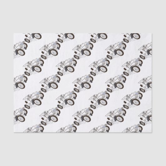 Papier Mousseline illustrations de couleurs (Recto)