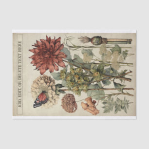 Papier Mousseline Illustrations de fleurs botaniques sur le parchemi