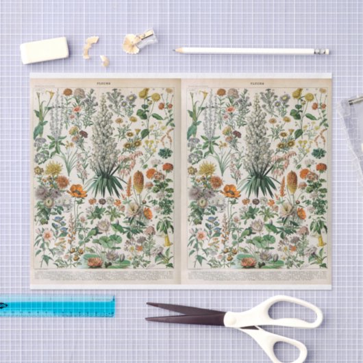 Papier Mousseline Illustrations Millot, Botanique, Découpage (Artisanat)