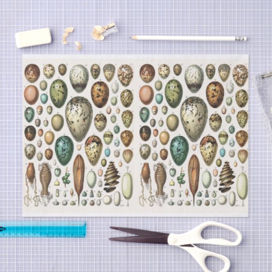 Papier Mousseline Illustrations Millot, Oeufs, Découpage (Artisanat)